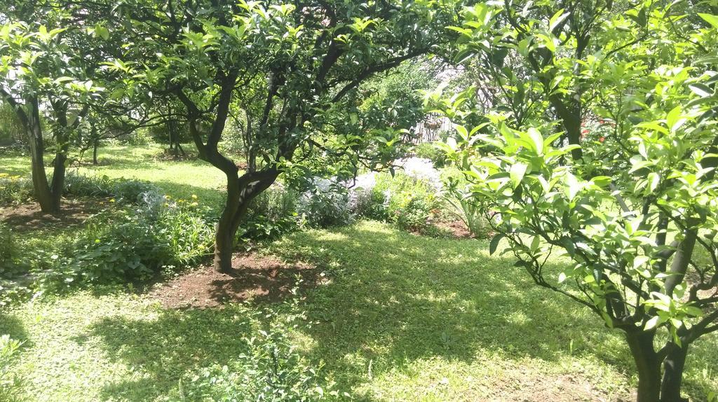 הרצג-נובי Apartment Ruzica Krstic מראה חיצוני תמונה