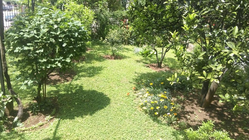 הרצג-נובי Apartment Ruzica Krstic מראה חיצוני תמונה