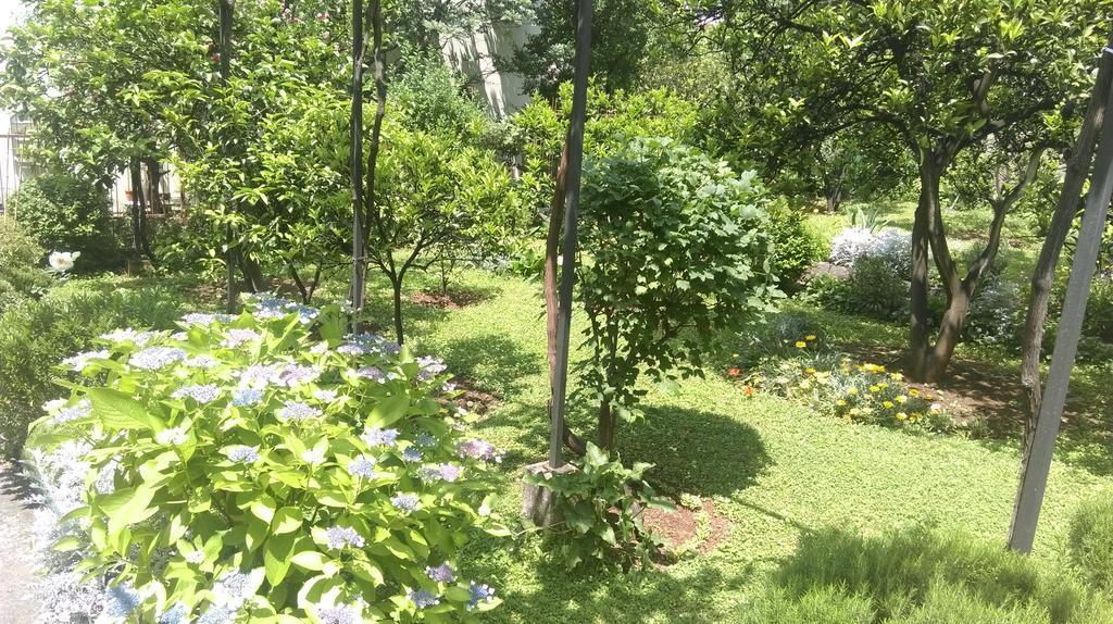 הרצג-נובי Apartment Ruzica Krstic מראה חיצוני תמונה