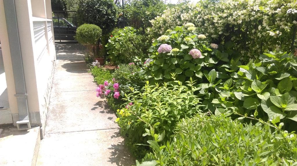 הרצג-נובי Apartment Ruzica Krstic מראה חיצוני תמונה